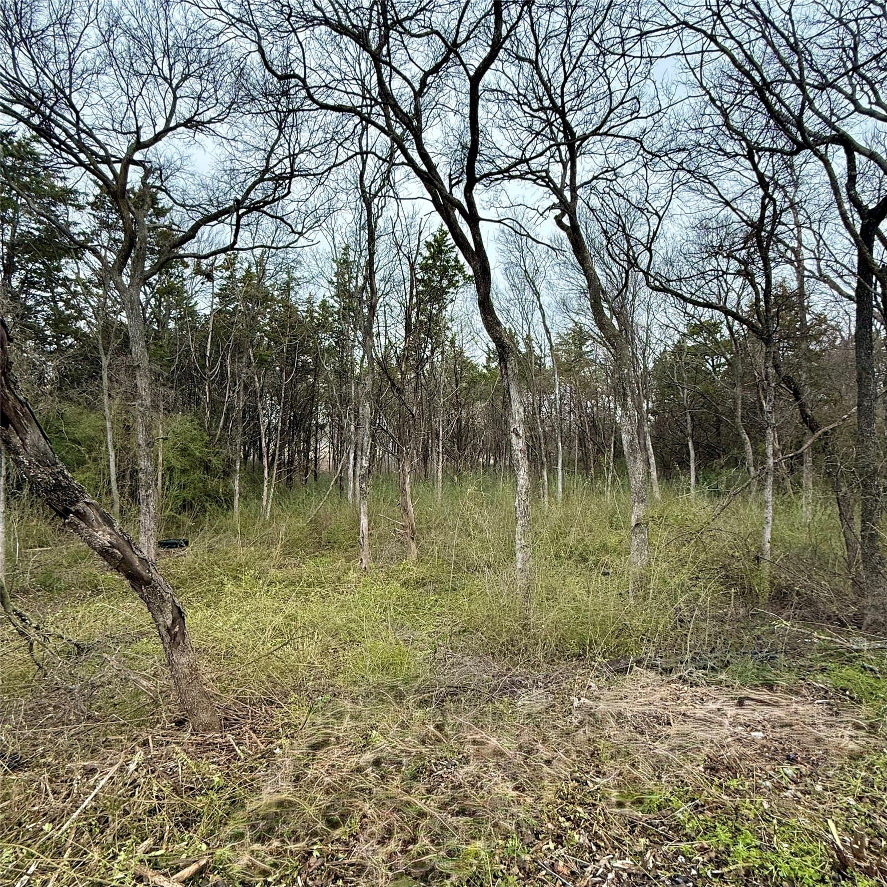 0.71 acres in Dallas County gallery image 4