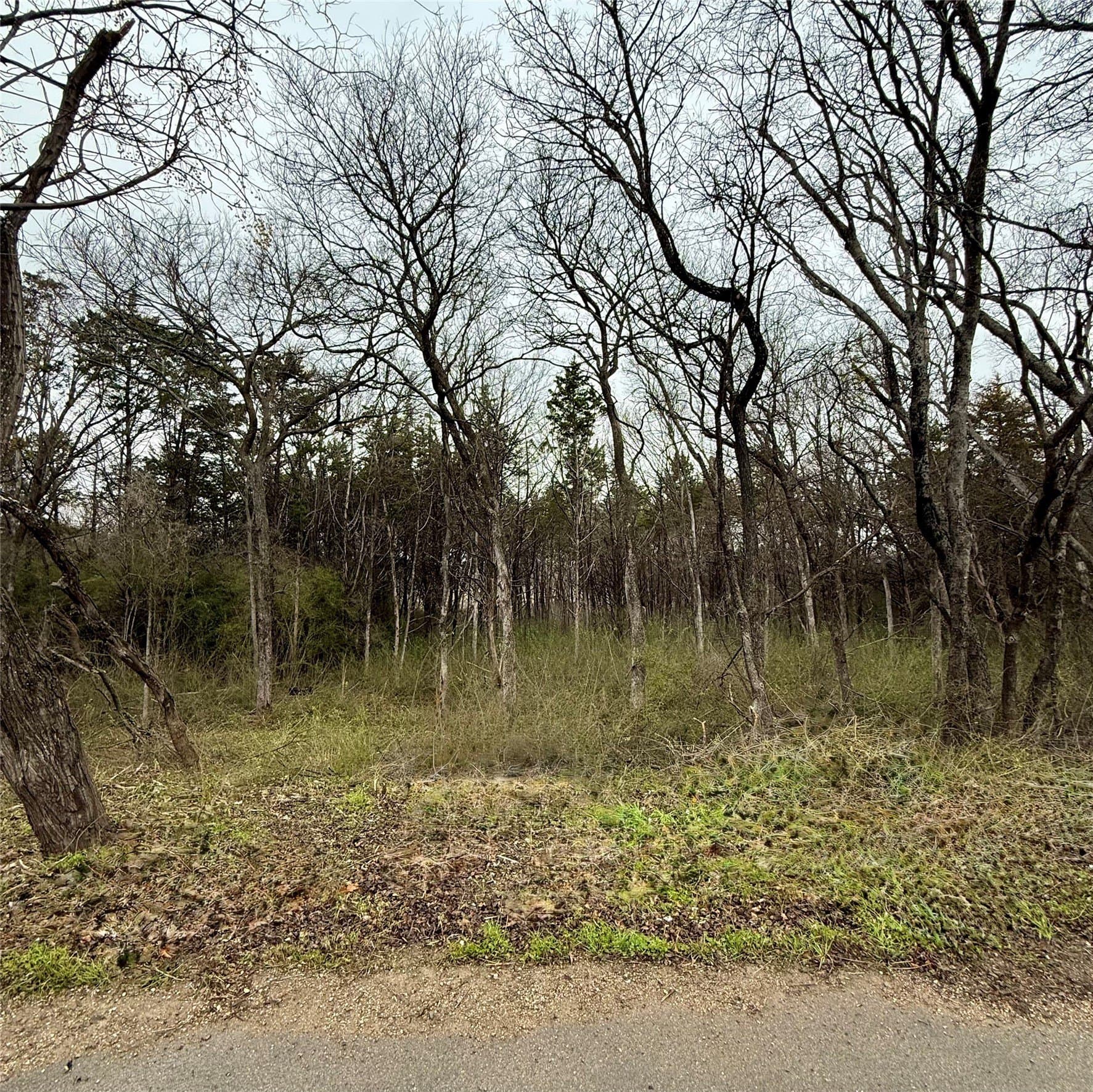 0.71 acres in Dallas County gallery image 3