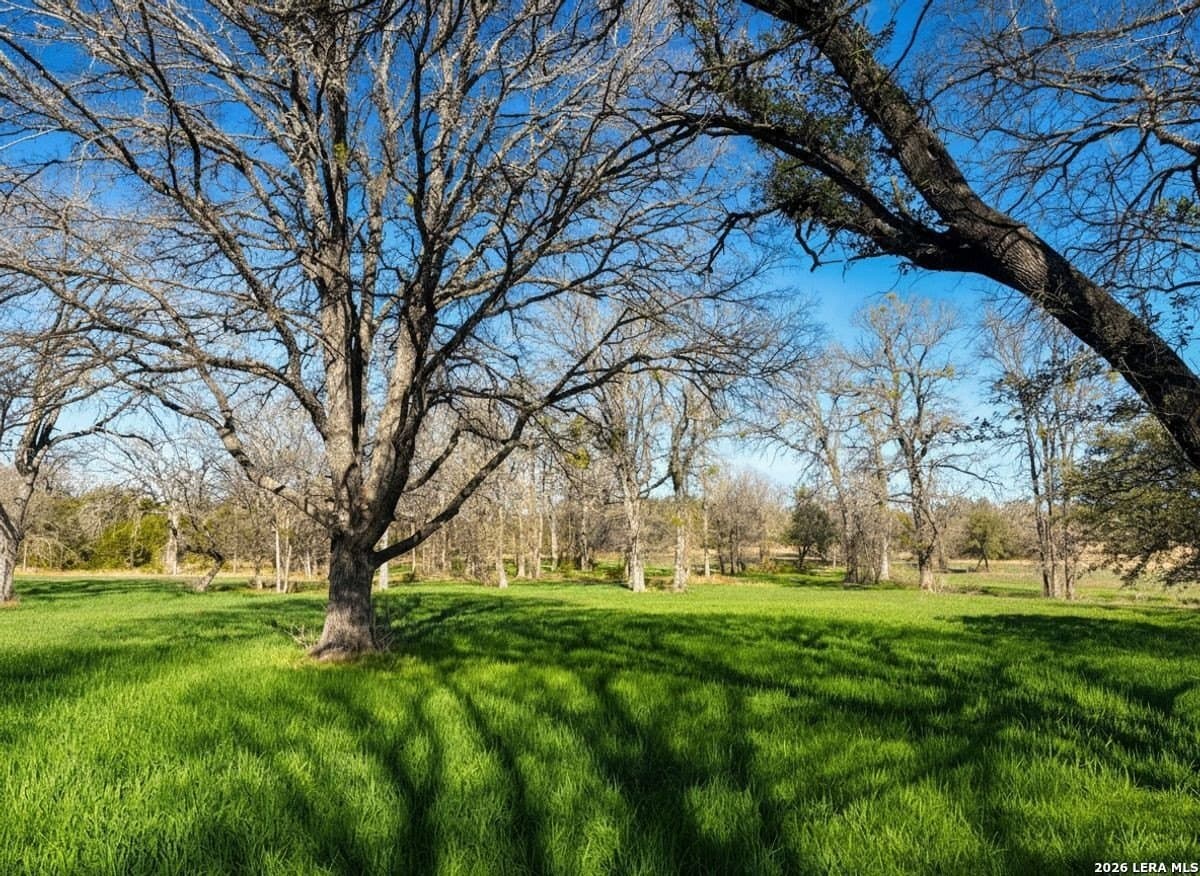212 acres in Coryell County - photo 13