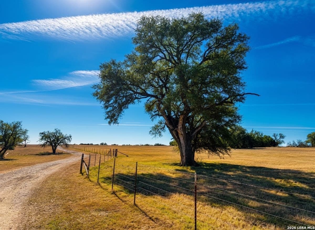 212 acres in Coryell County - photo 16