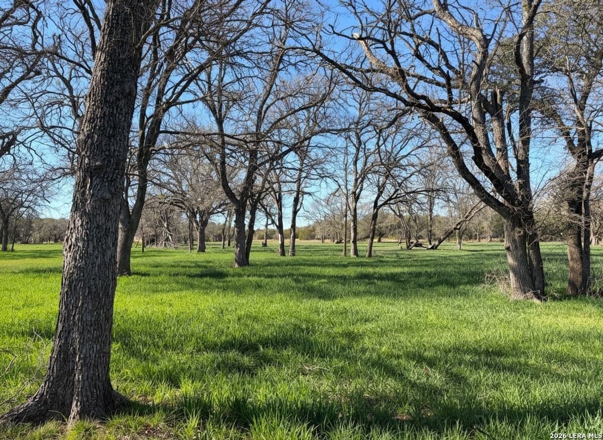 212 acres in Coryell County gallery image 3