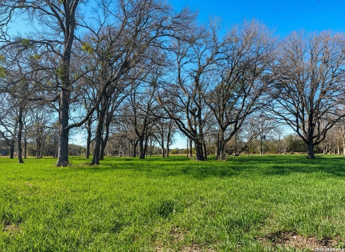 212 acres in Coryell County - photo 36