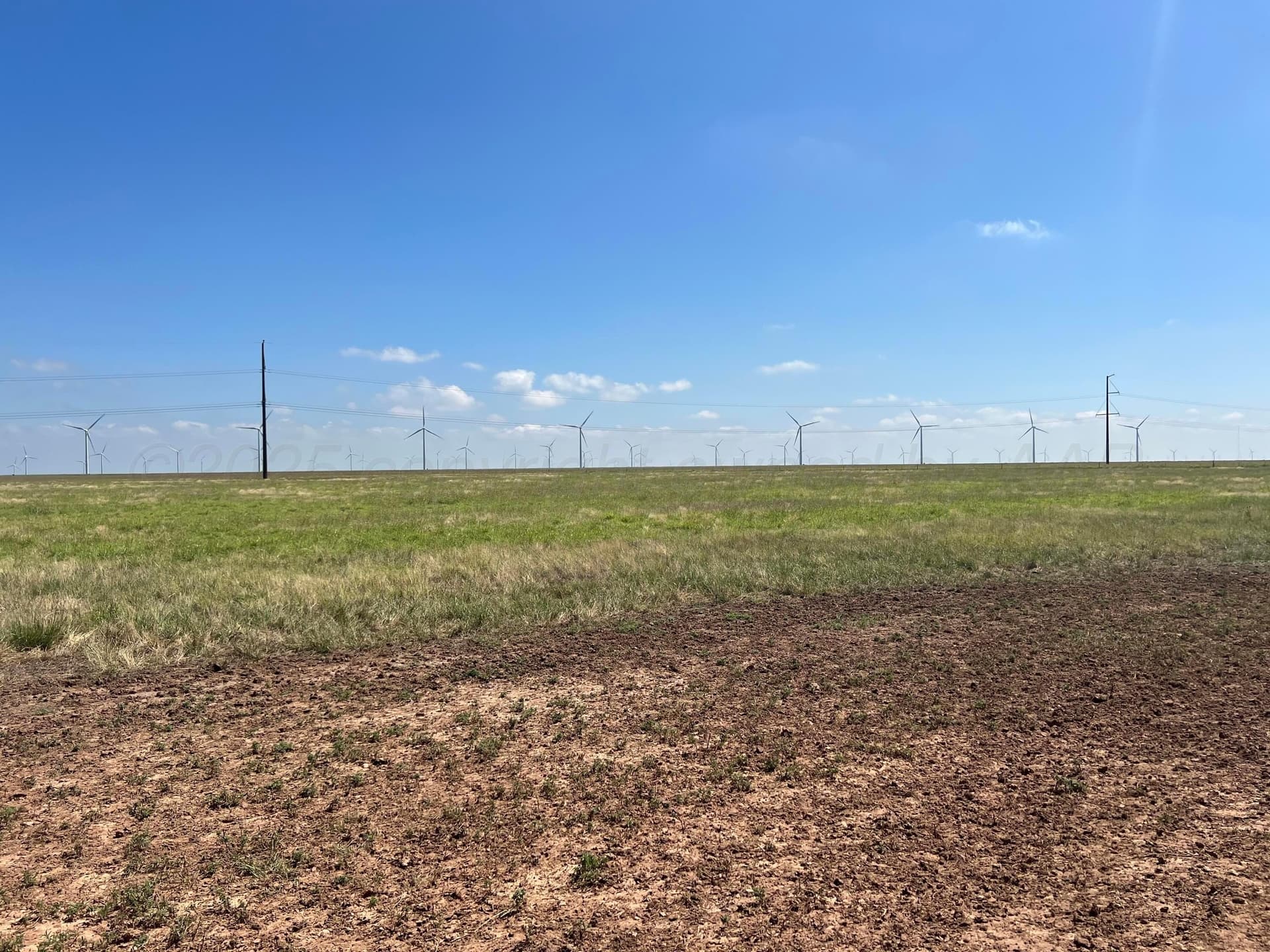 207 acres in Oldham County gallery image 4