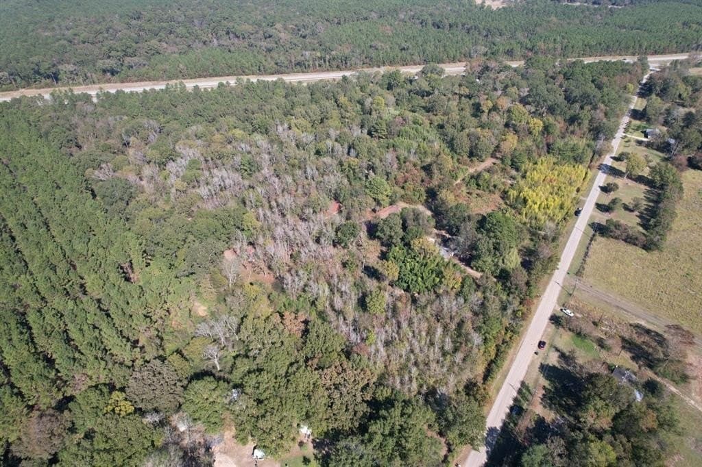 34.7 acres in Angelina County gallery image 4