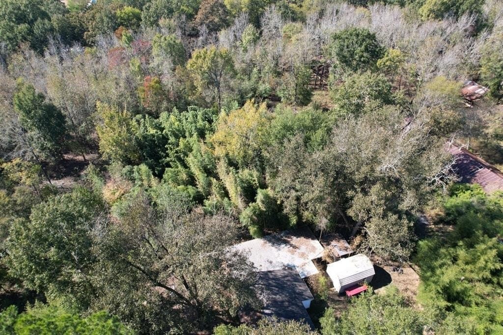 34.7 acres in Angelina County gallery image 2