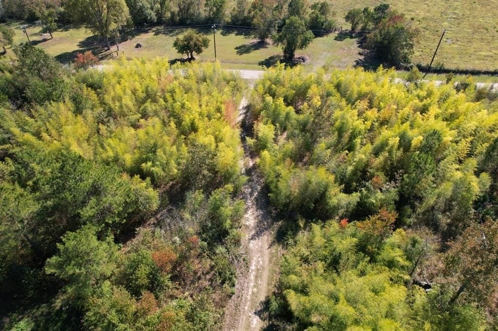 34.7 acres in Angelina County gallery image 3