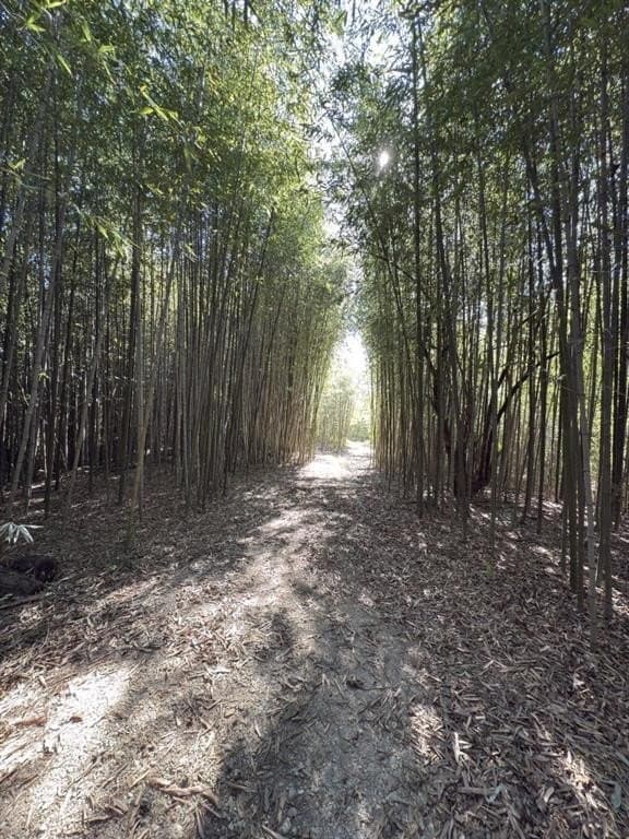 34.7 acres in Angelina County