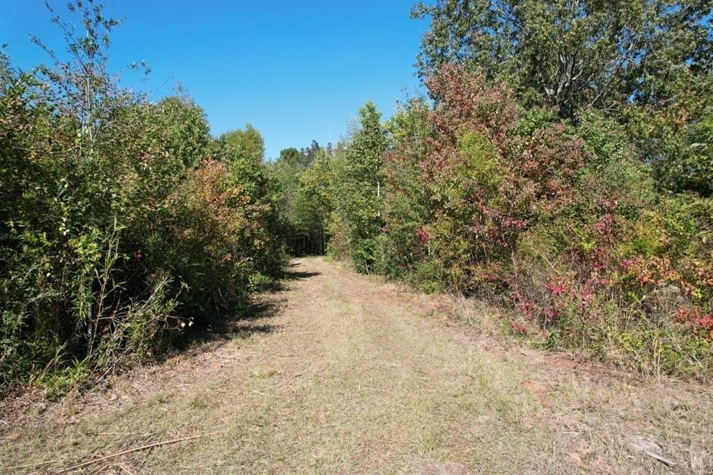 34.7 acres in Angelina County featured view