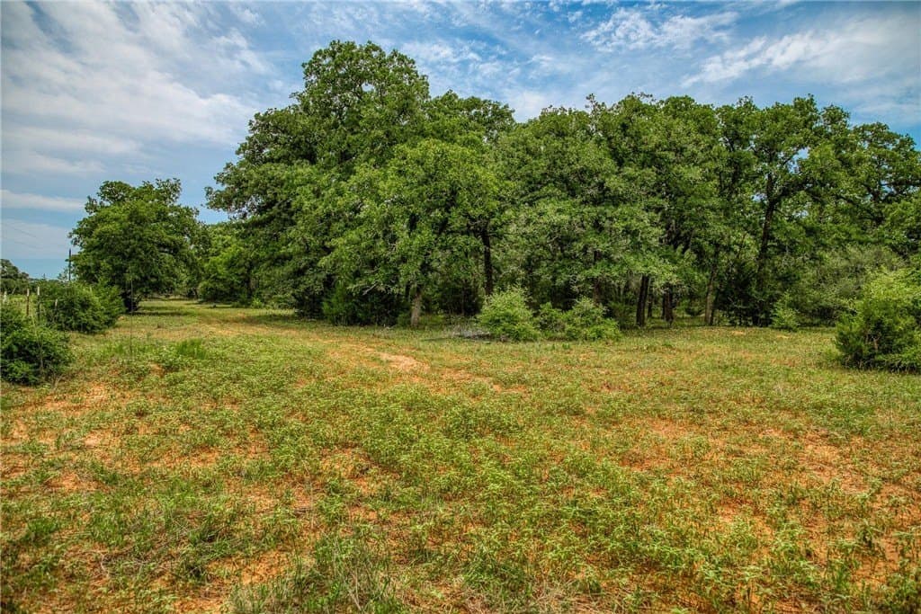 24.93 acres in LAVACA County - photo 14