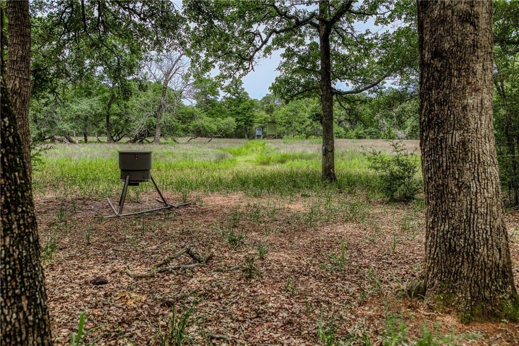 24.93 acres in LAVACA County - photo 10
