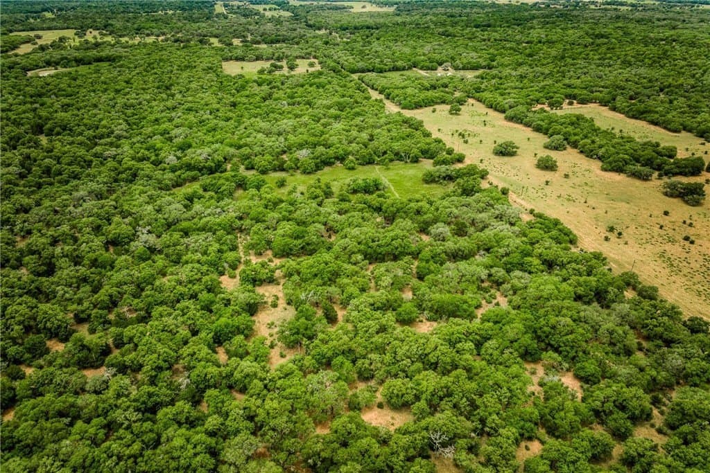 24.93 acres in LAVACA County - photo 26
