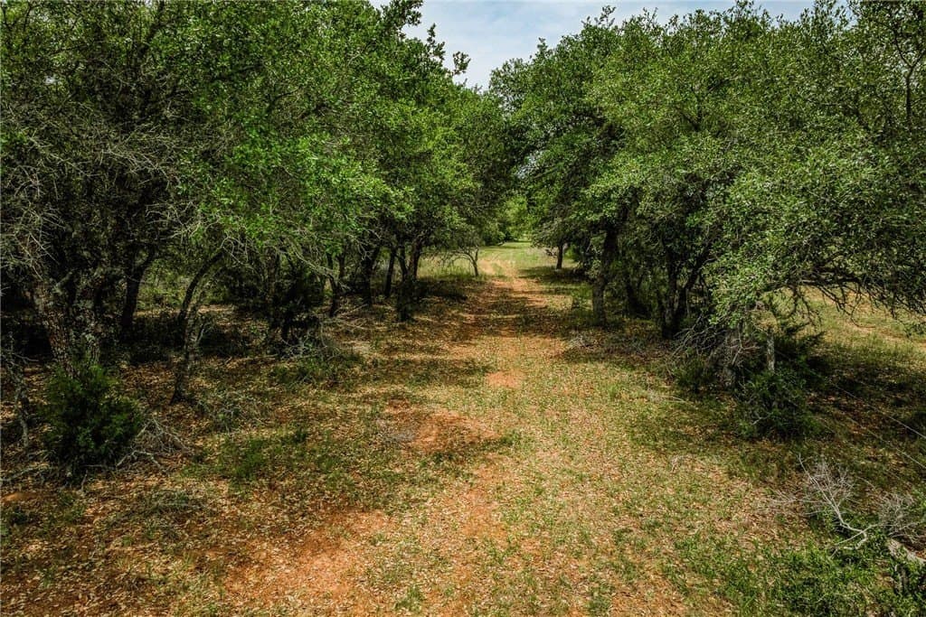 24.93 acres in LAVACA County - photo 4