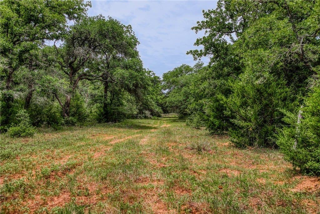 24.93 acres in LAVACA County - photo 3