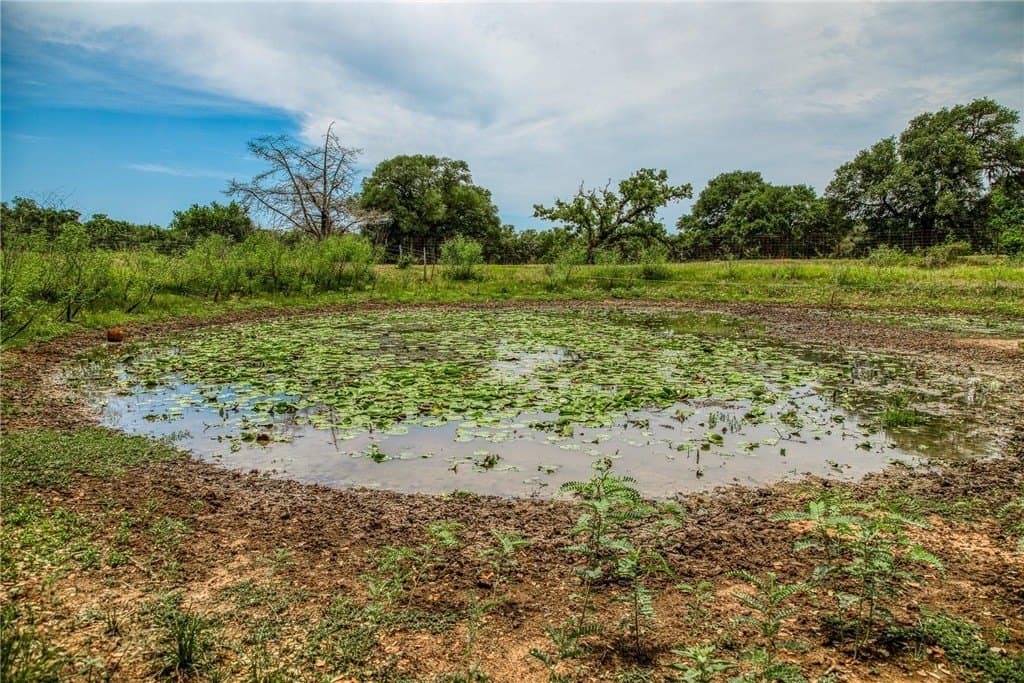 24.93 acres in LAVACA County - photo 9