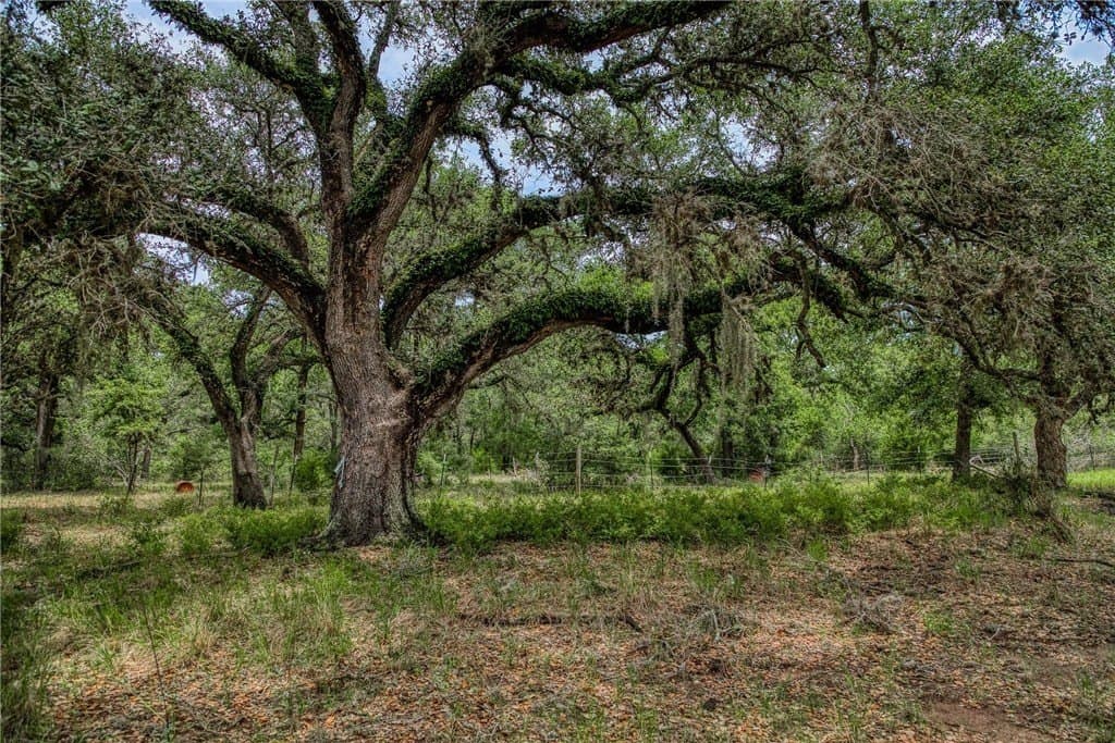 24.93 acres in LAVACA County - photo 7