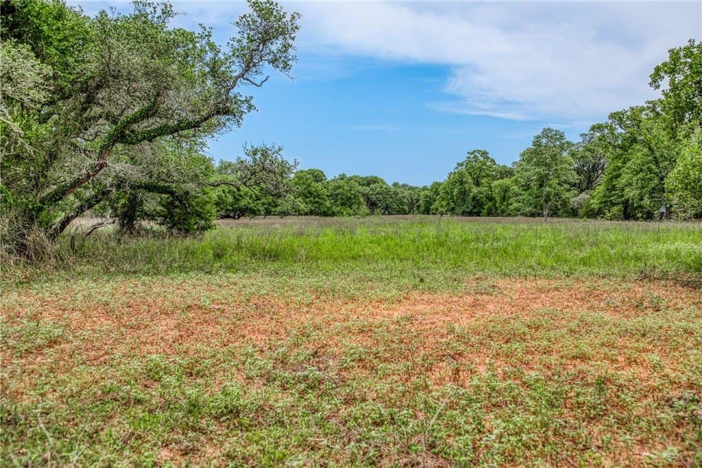 24.93 acres in LAVACA County - photo 16