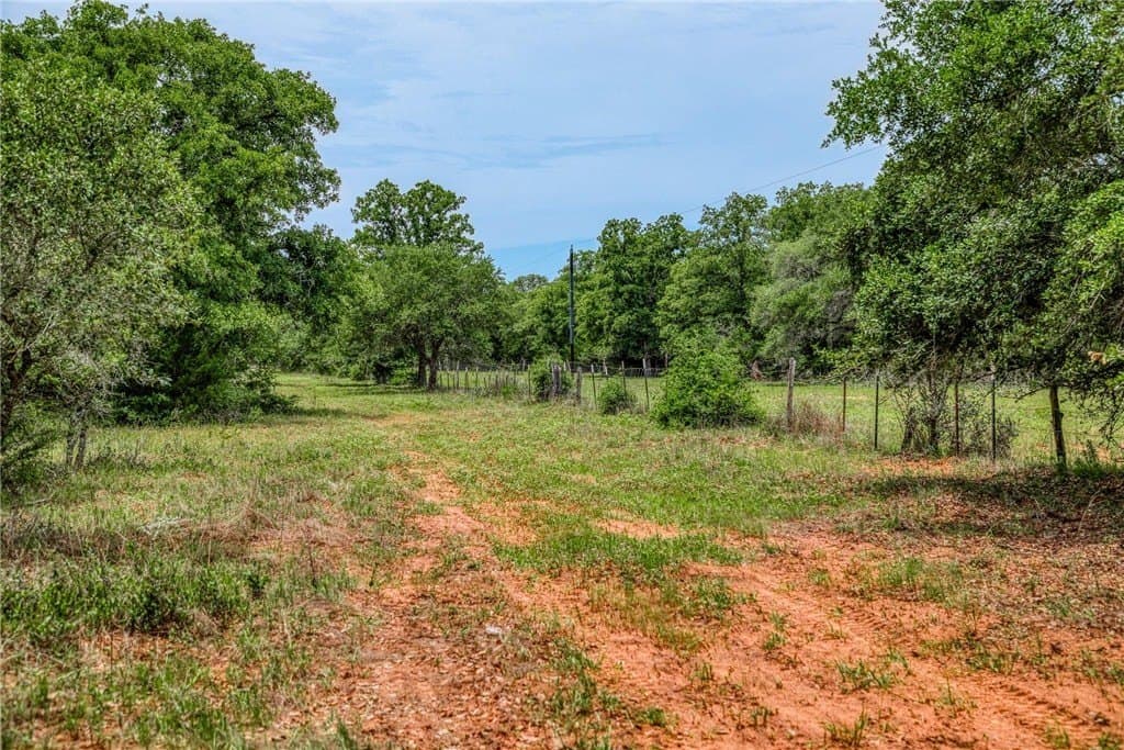 24.93 acres in LAVACA County - photo 15