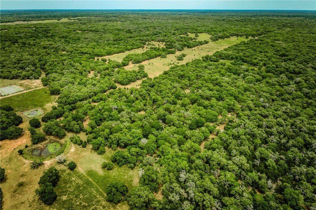 24.93 acres in LAVACA County - photo 18