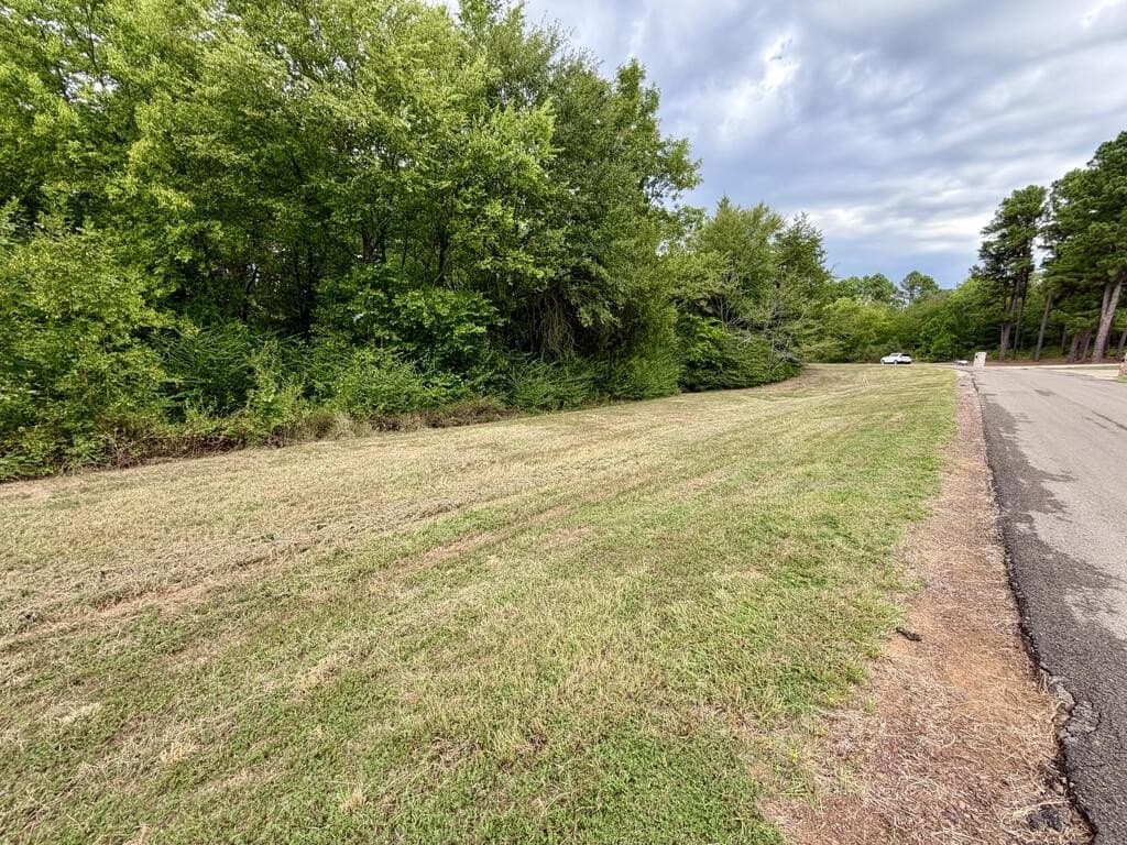 1.76 acres in Henderson County - photo 13