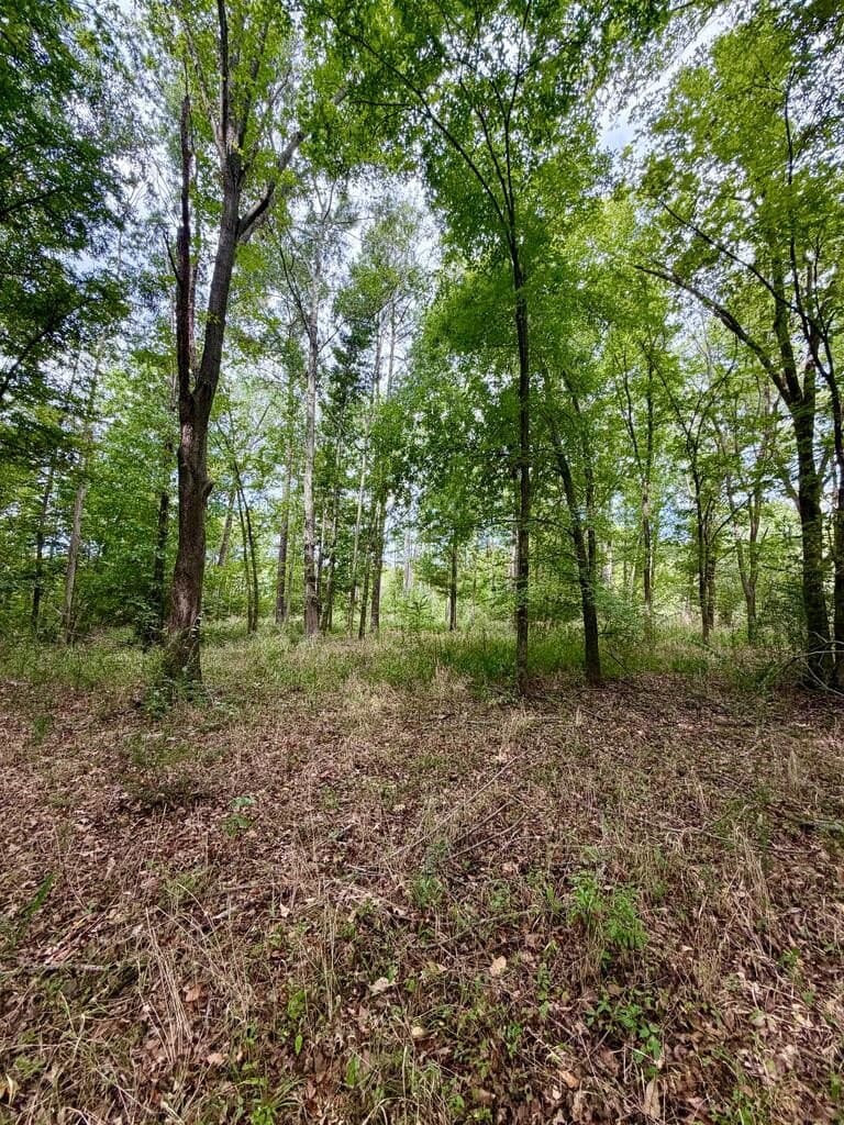 1.76 acres in Henderson County - photo 6
