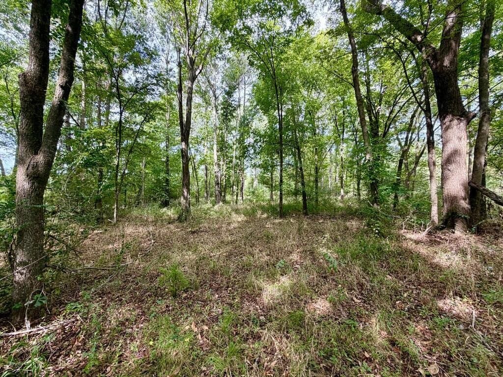 1.76 acres in Henderson County - photo 2