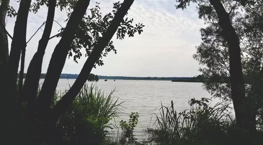 1.76 acres in Henderson County - photo 15
