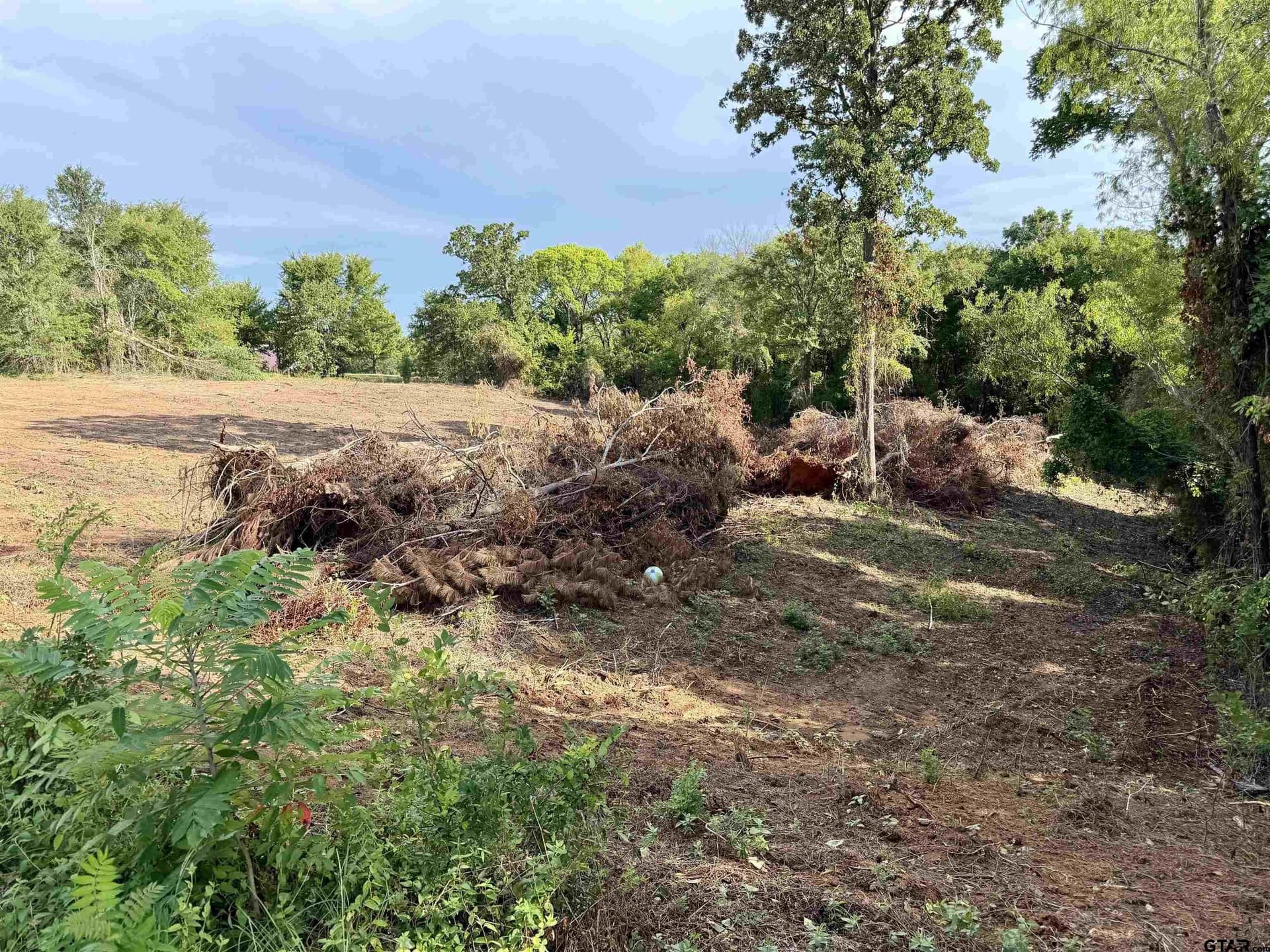 1.18 acres in Smith County gallery image 4