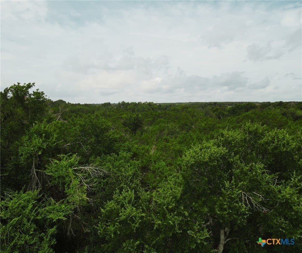 4 acres in Burnet County - photo 21