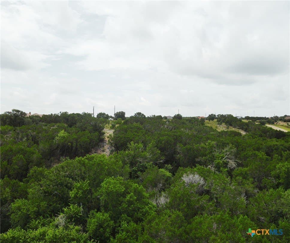 4 acres in Burnet County - photo 20