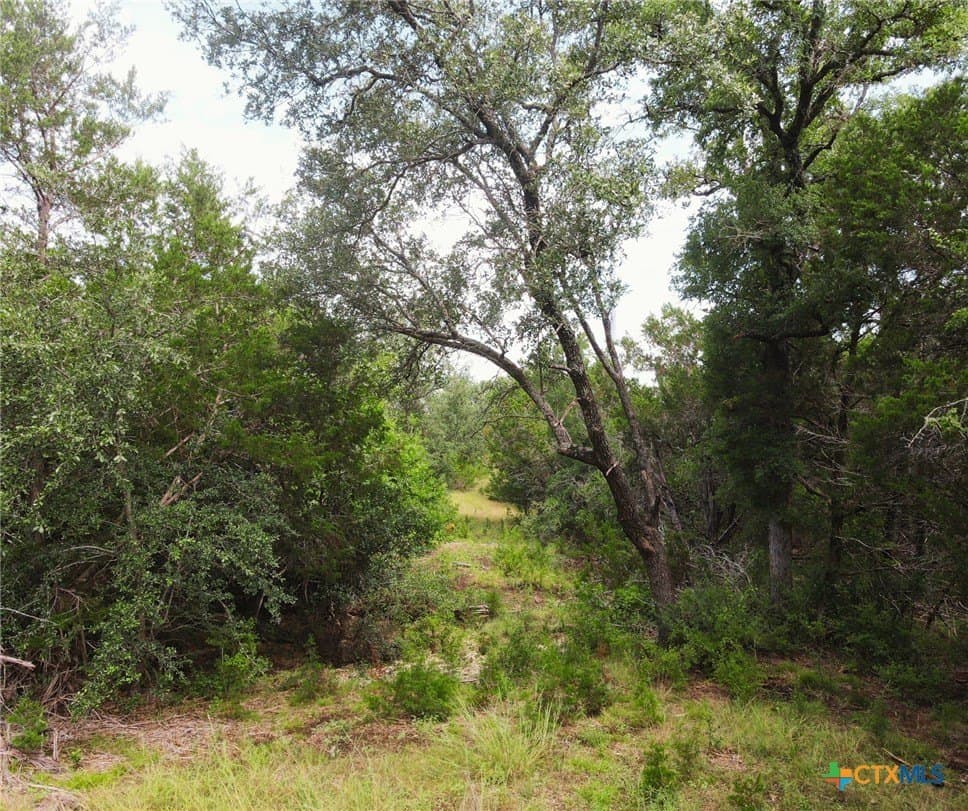 4 acres in Burnet County - photo 16