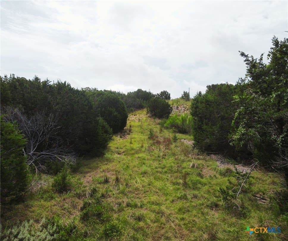 4 acres in Burnet County - photo 14