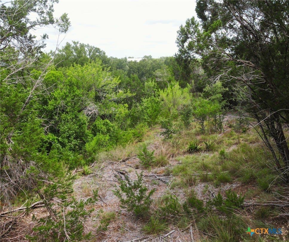 4 acres in Burnet County - photo 17