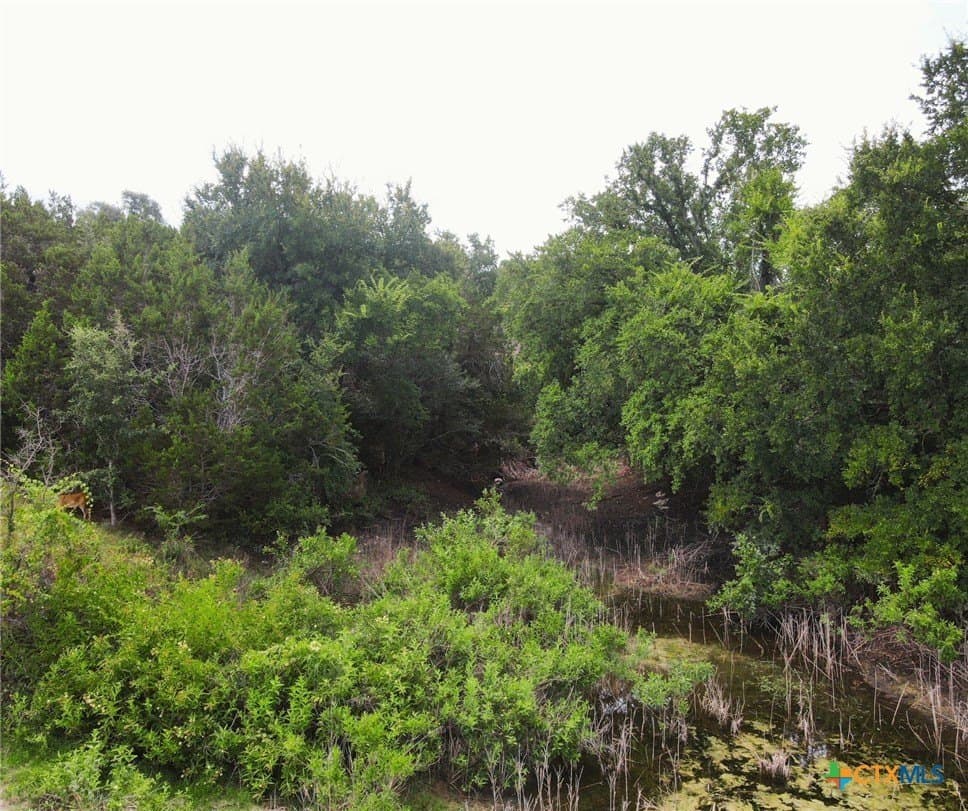 4 acres in Burnet County - photo 5