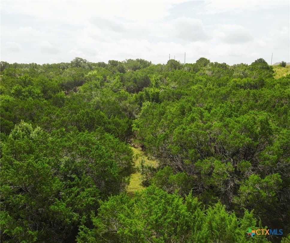 4 acres in Burnet County - photo 18