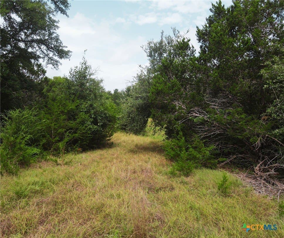 4 acres in Burnet County - photo 15