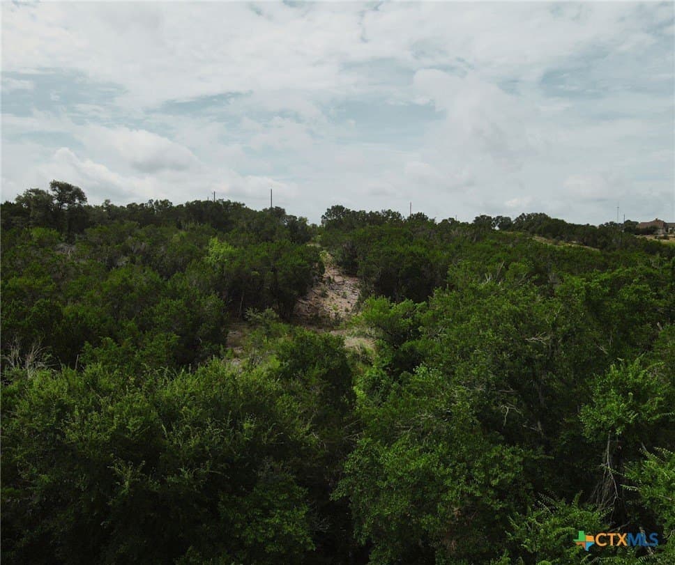 4 acres in Burnet County - photo 19