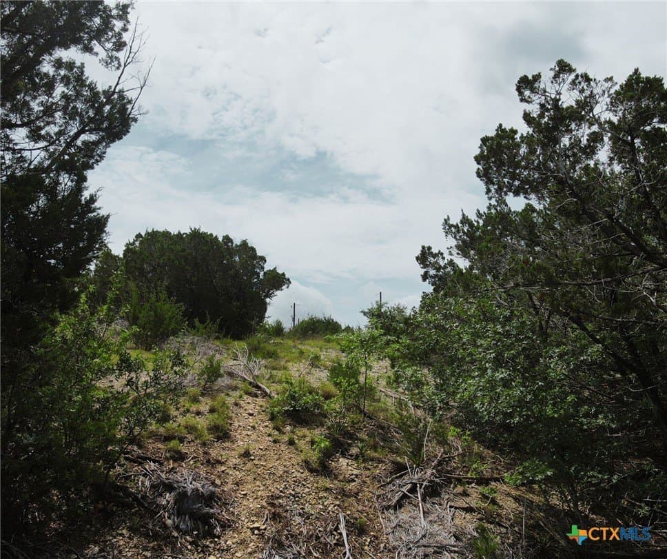 4 acres in Burnet County - photo 13