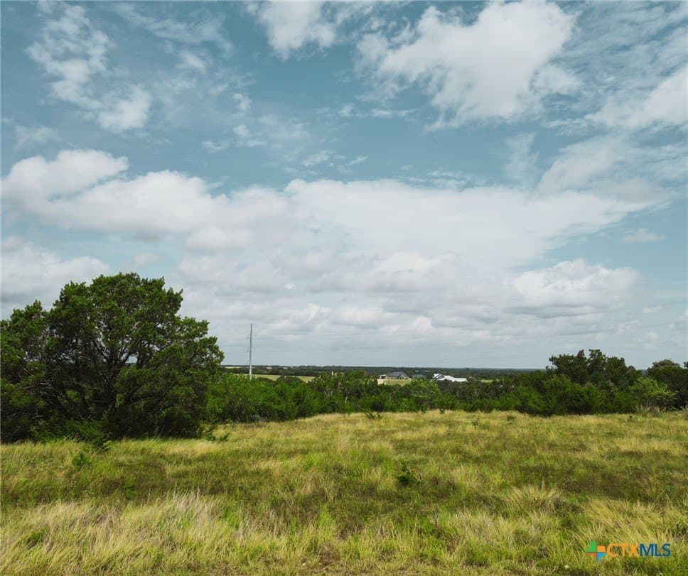 4 acres in Burnet County - photo 10
