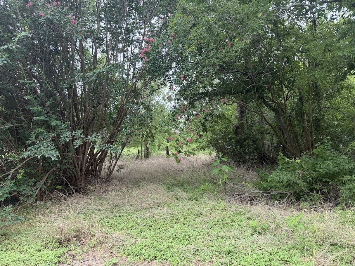 0.29 acres in McLennan County - photo 3