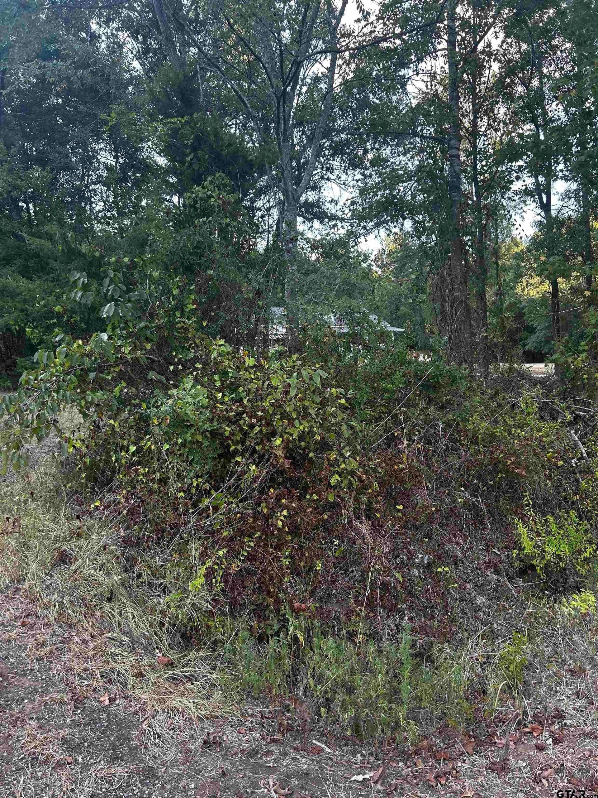 1.18 acres in Harrison County - photo 7