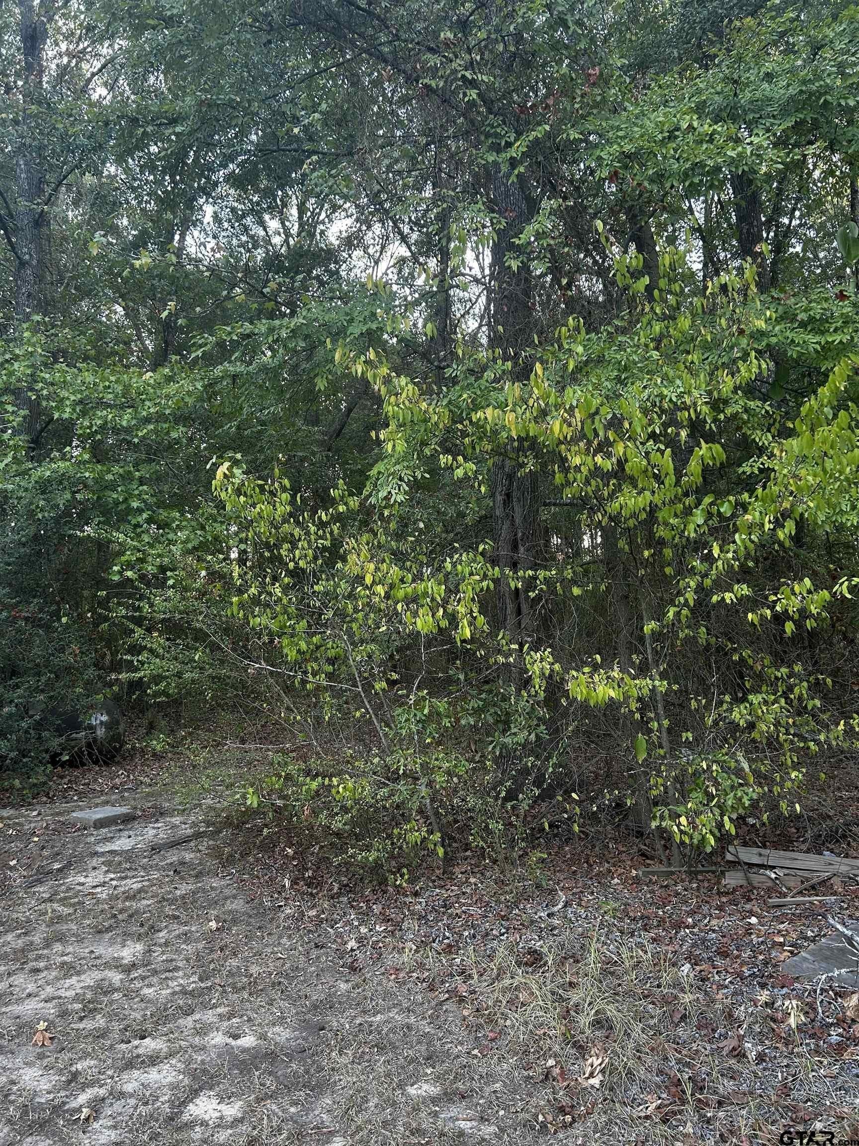 1.18 acres in Harrison County - photo 5