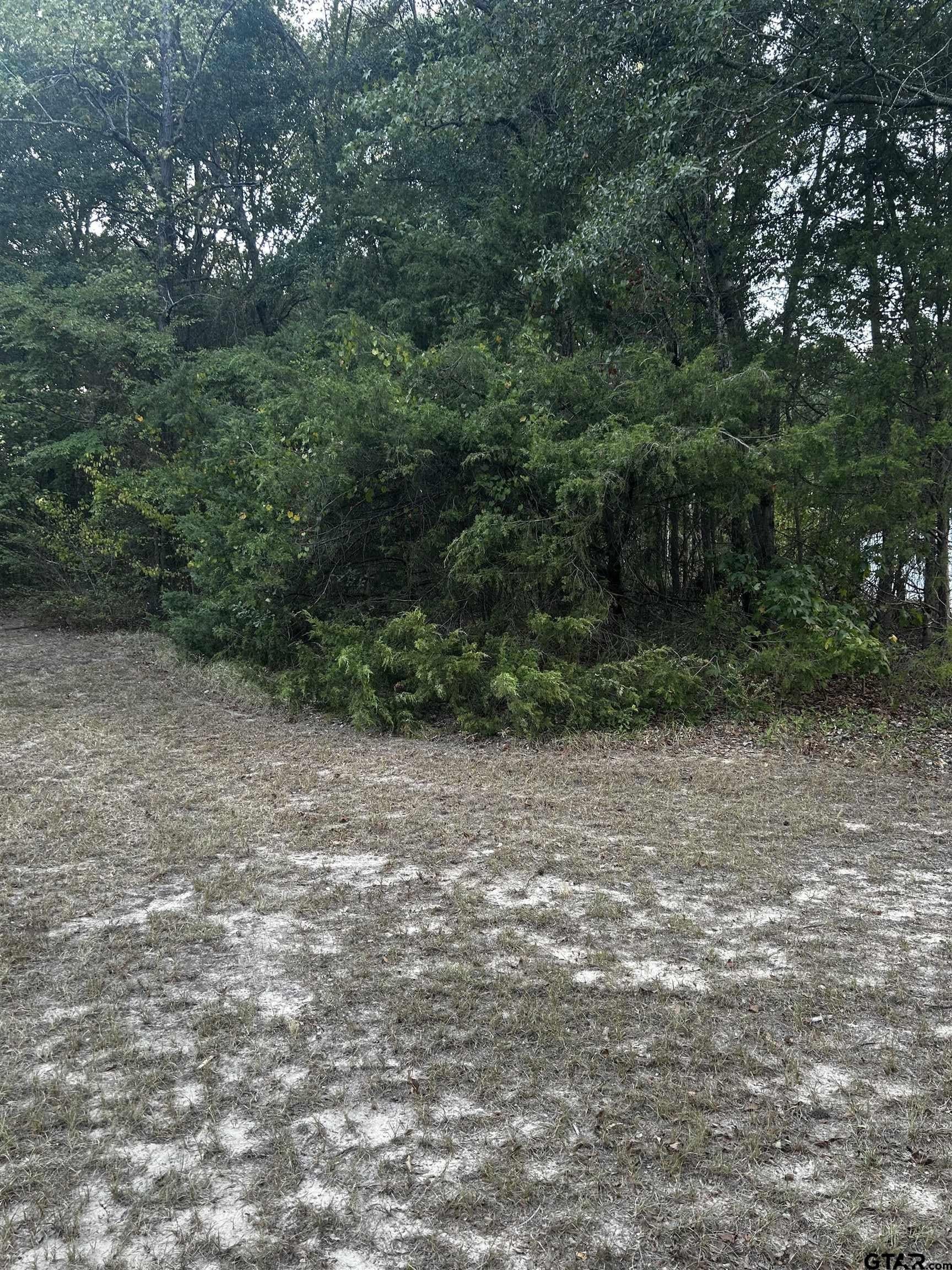 1.18 acres in Harrison County - photo 8