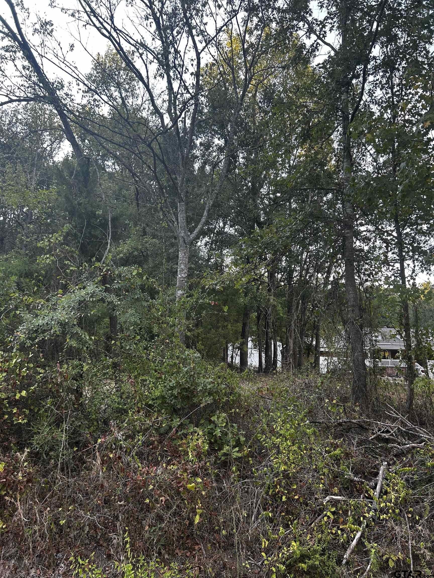 1.18 acres in Harrison County - photo 3