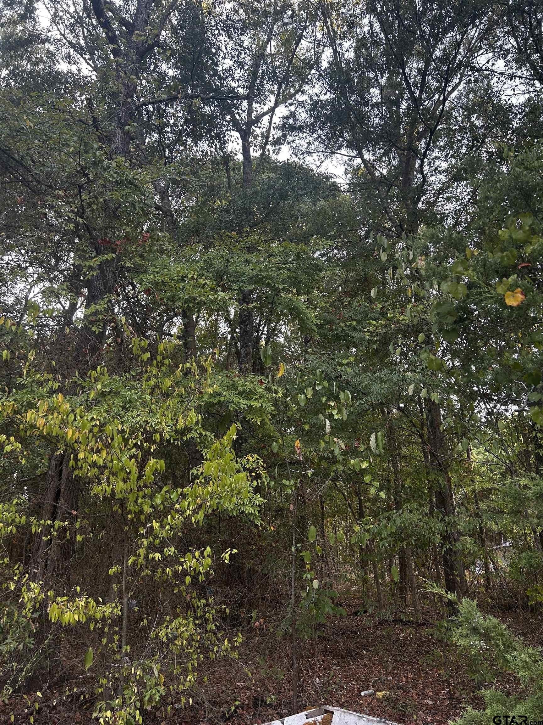 1.18 acres in Harrison County - photo 4