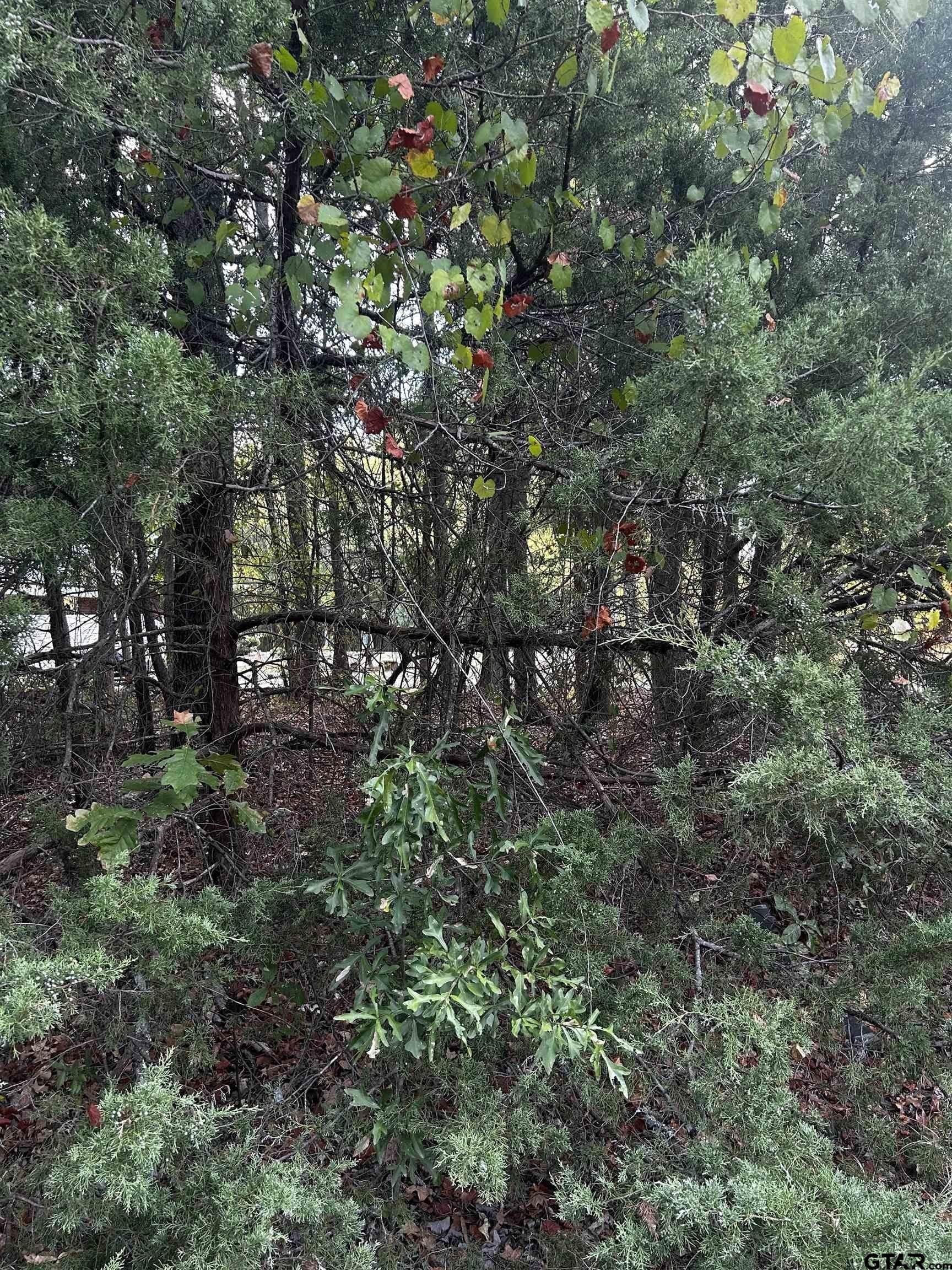 1.18 acres in Harrison County - photo 6