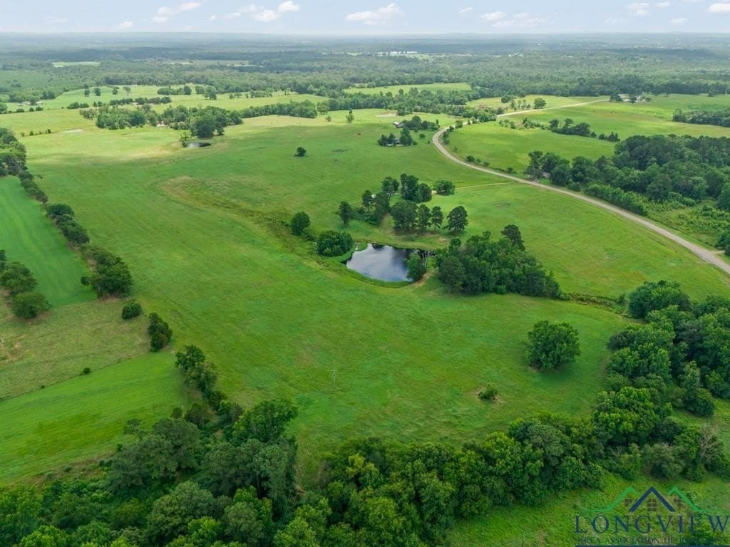 138 acres in Upshur County gallery image 3