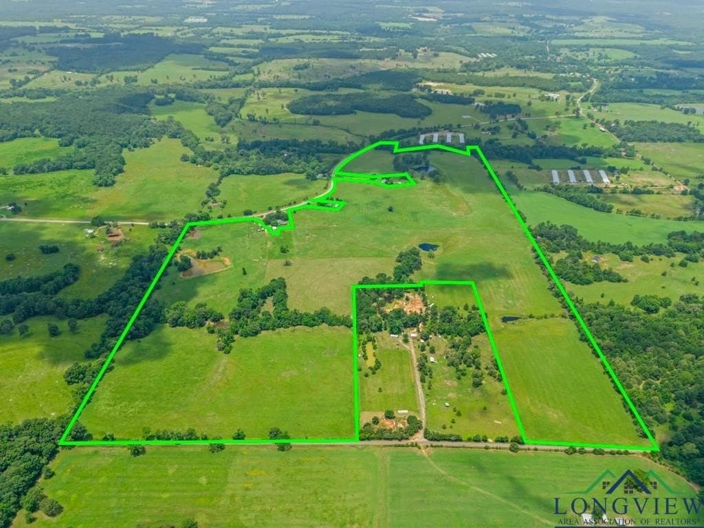 138 acres in Upshur County gallery image 2