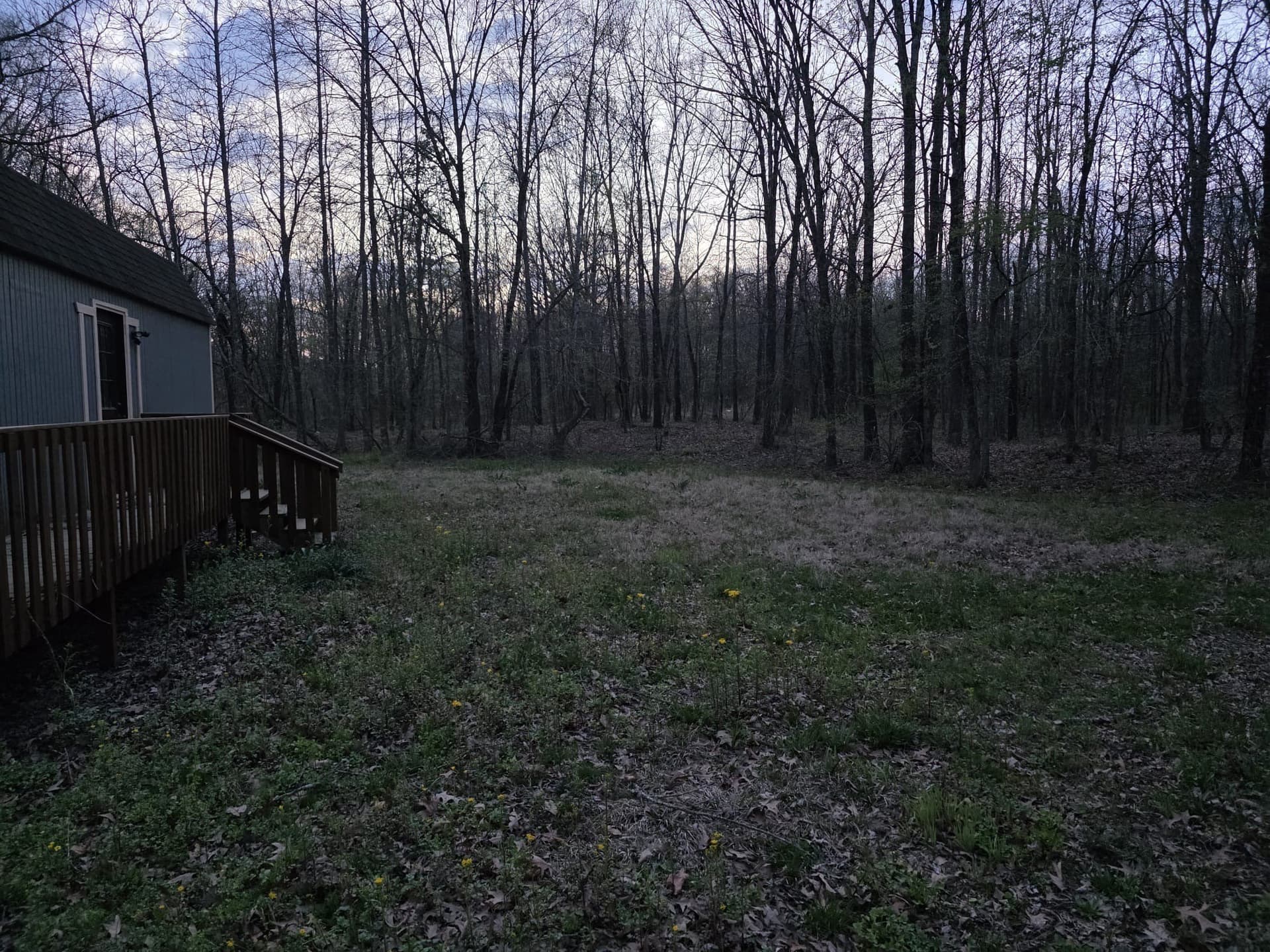 42 acres in Red River (TX) County - photo 6