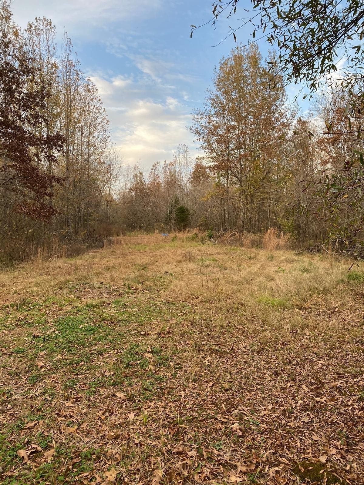 42 acres in Red River (TX) County - photo 13