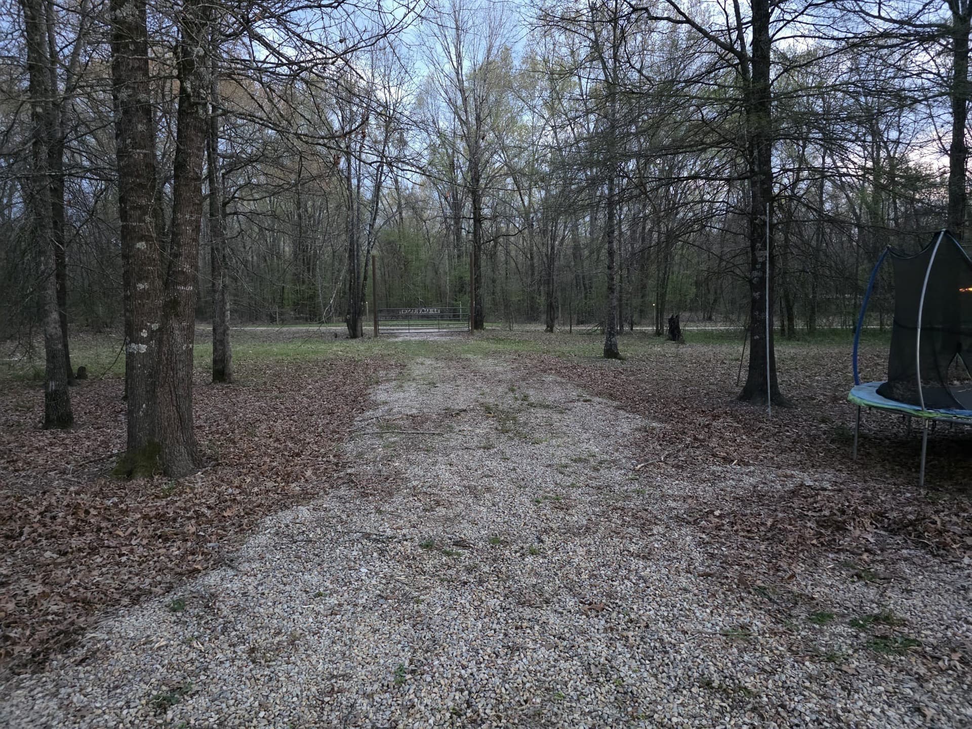 42 acres in Red River (TX) County - photo 3
